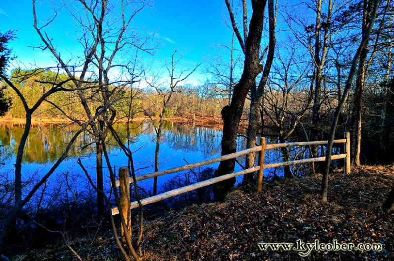 Pond by Alisandria